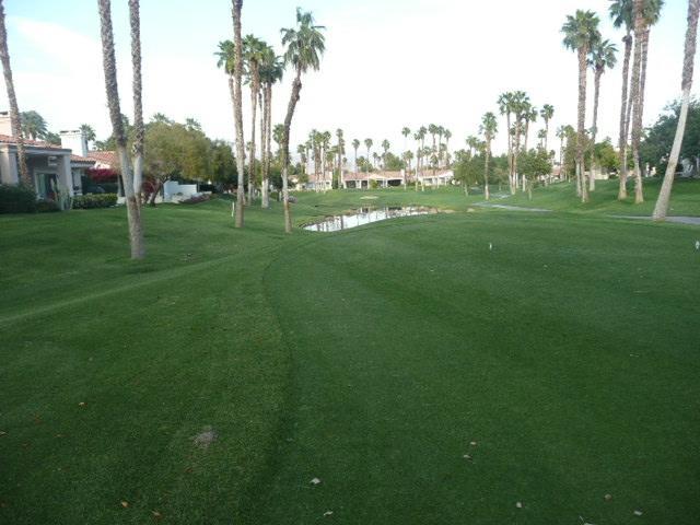 Palm Valley Cc Pickleball, Tennis, Gym, Clubhouse, Swimming Pools, Lux, Spac 2 Bdrms Den 2 Ba Palm Desert Bagian luar foto